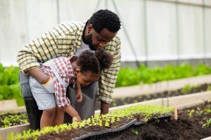 farmer family concept. black african father teaching child to gardening in agriculture farm