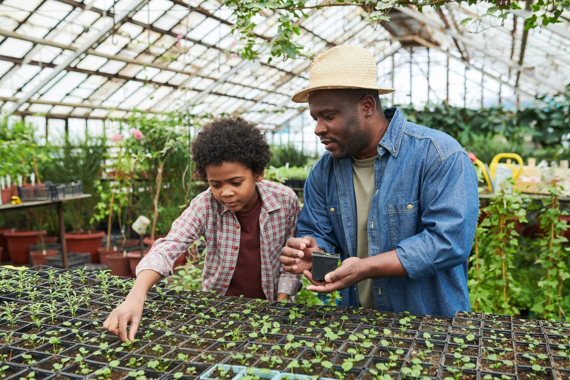 Man with child in greenhouse